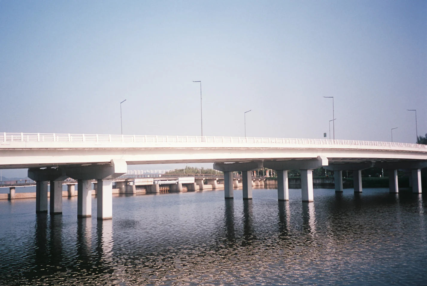 Reflx Lab Pro 100 Color Negative Film 36EXP